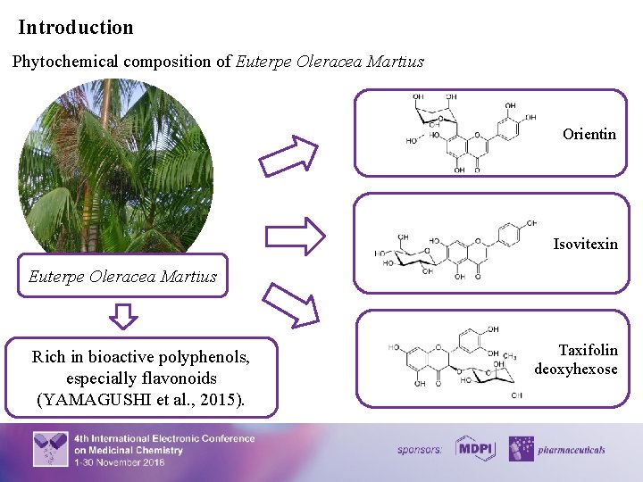 Introduction Phytochemical composition of Euterpe Oleracea Martius Orientin Isovitexin Euterpe Oleracea Martius Rich in