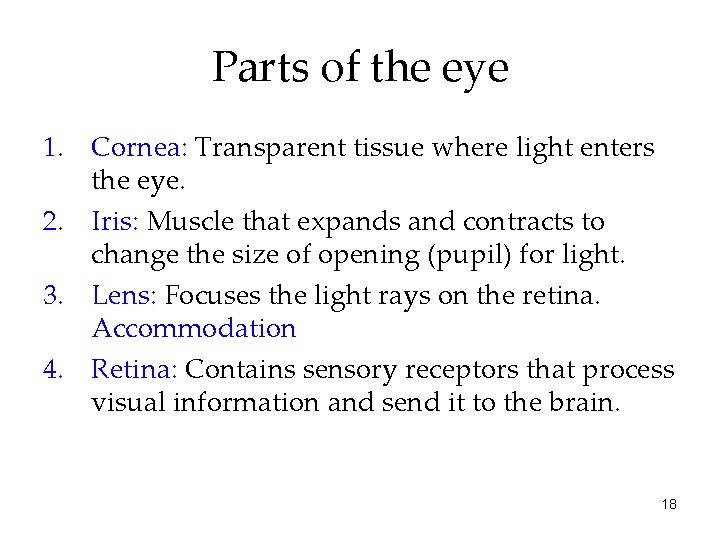 Parts of the eye 1. Cornea: Transparent tissue where light enters the eye. 2.