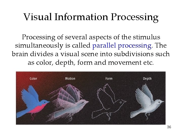 Visual Information Processing of several aspects of the stimulus simultaneously is called parallel processing.
