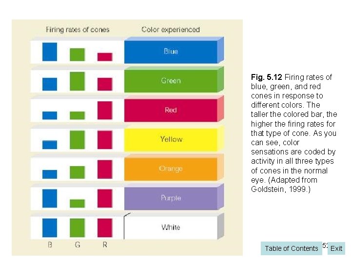 Fig. 5. 12 Firing rates of blue, green, and red cones in response to