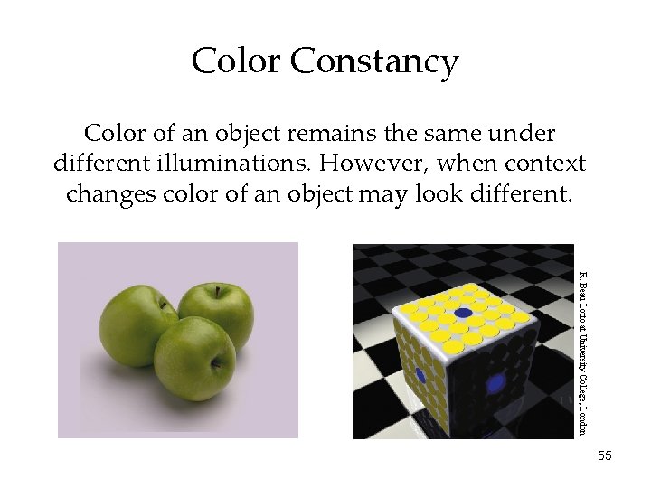 Color Constancy Color of an object remains the same under different illuminations. However, when