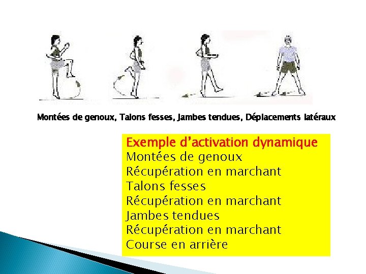 Montées de genoux, Talons fesses, Jambes tendues, Déplacements latéraux Exemple d’activation dynamique Montées de