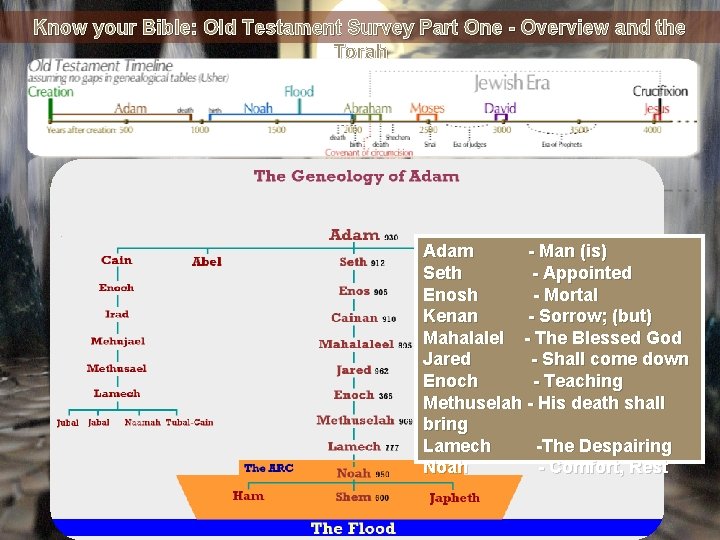 Know your Bible: Old Testament Survey Part One - Overview and the Torah Adam