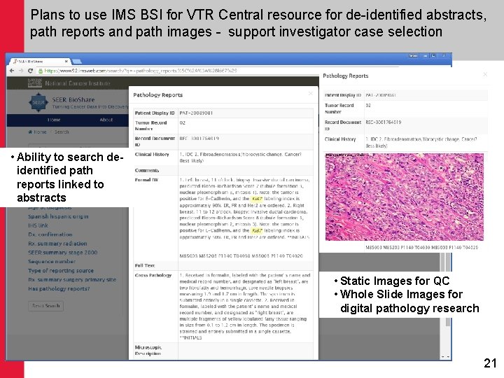 Plans to use IMS BSI for VTR Central resource for de-identified abstracts, path reports