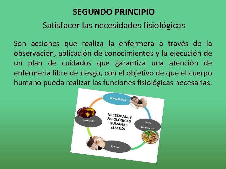 SEGUNDO PRINCIPIO Satisfacer las necesidades fisiológicas Son acciones que realiza la enfermera a través