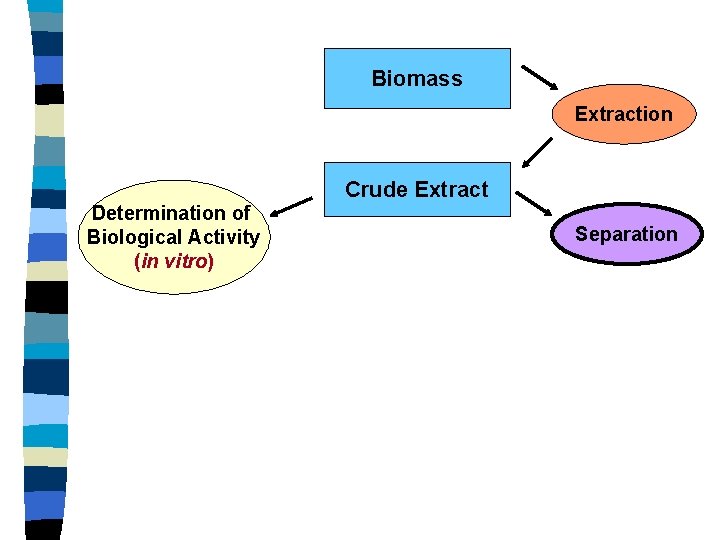 Biomass Extraction Crude Extract Determination of Biological Activity (in vitro) Separation 