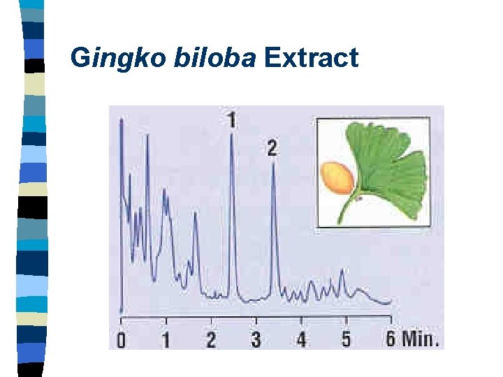 Gingko biloba Extract 