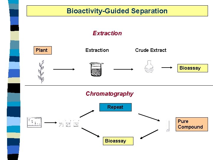 Bioactivity-Guided Separation Extraction Plant Extraction Crude Extract Bioassay Chromatography Repeat Pure Compound Bioassay 