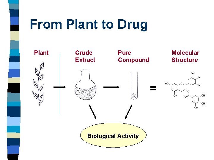 From Plant to Drug Plant Crude Extract Pure Compound Molecular Structure = Biological Activity