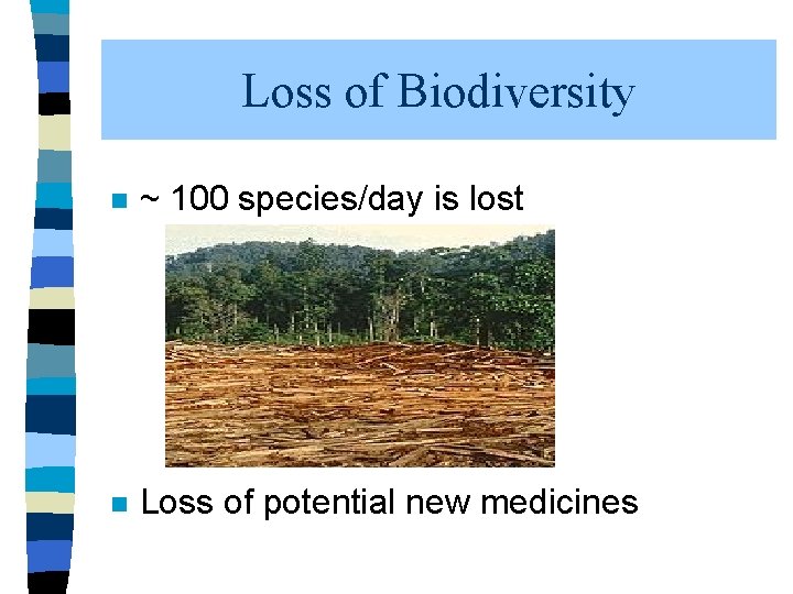 Loss of Biodiversity n ~ 100 species/day is lost n Loss of potential new