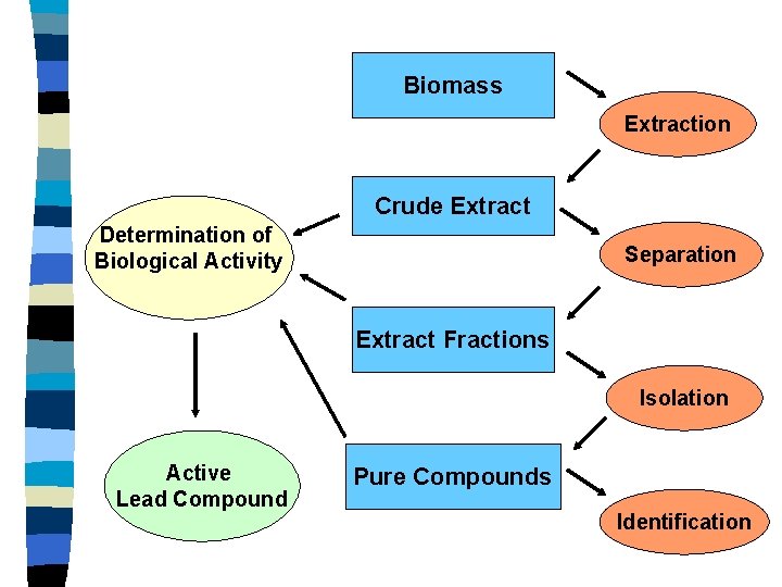 Biomass Extraction Crude Extract Determination of Biological Activity Separation Extract Fractions Isolation Active Lead