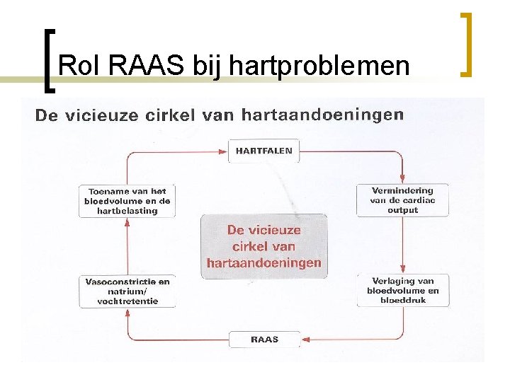 Rol RAAS bij hartproblemen 