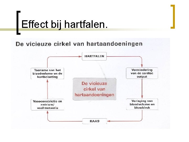 Effect bij hartfalen. n n Bloeddruk daalt Dus wordt het hart minder belast. Dus
