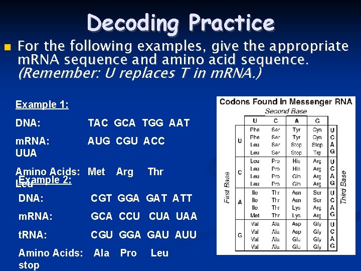 Decoding Practice For the following examples, give the appropriate m. RNA sequence and amino