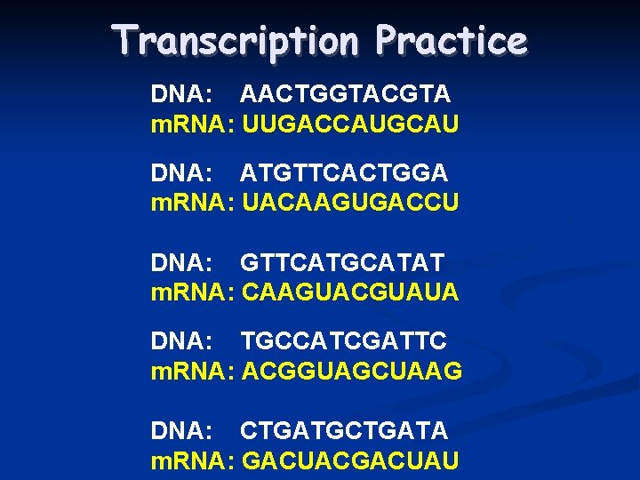 Transcription Practice DNA: AACTGGTACGTA m. RNA: UUGACCAUGCAU DNA: ATGTTCACTGGA m. RNA: UACAAGUGACCU DNA: GTTCATGCATAT