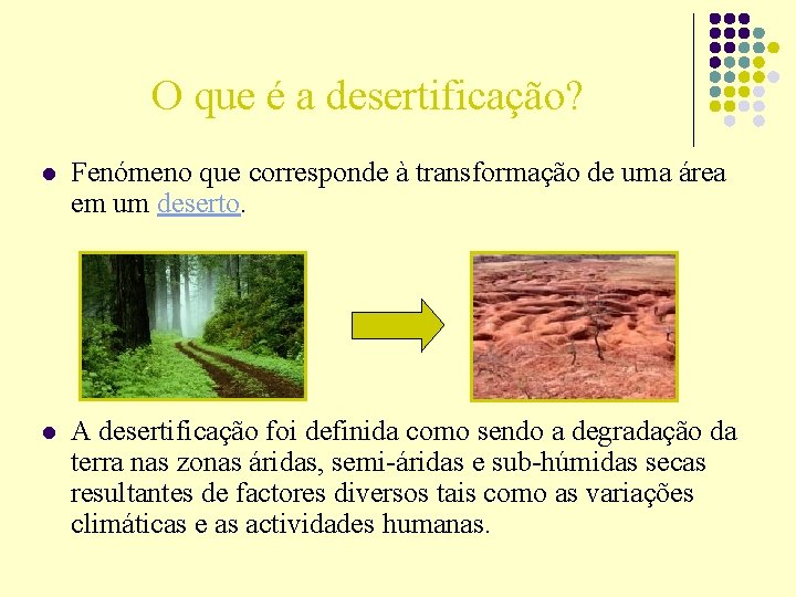 O que é a desertificação? l Fenómeno que corresponde à transformação de uma área O que é a desertificação? l Fenómeno que corresponde à transformação de uma área