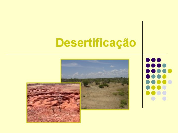Desertificação Desertificação
