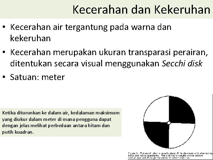 Kecerahan dan Kekeruhan • Kecerahan air tergantung pada warna dan kekeruhan • Kecerahan merupakan