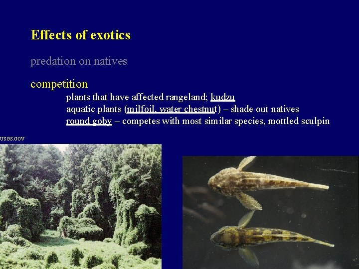 USGS. GOV Effects of exotics predation on natives competition plants that have affected rangeland;