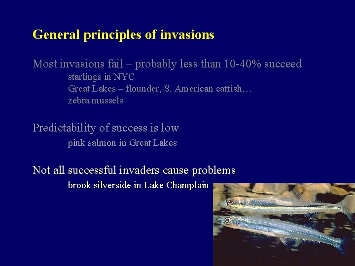 General principles of invasions Most invasions fail – probably less than 10 -40% succeed