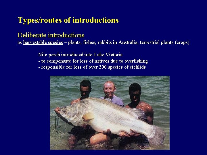 Types/routes of introductions Deliberate introductions as harvestable species – plants, fishes, rabbits in Australia,