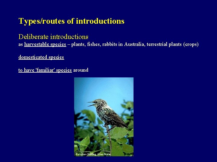Types/routes of introductions Deliberate introductions as harvestable species – plants, fishes, rabbits in Australia,