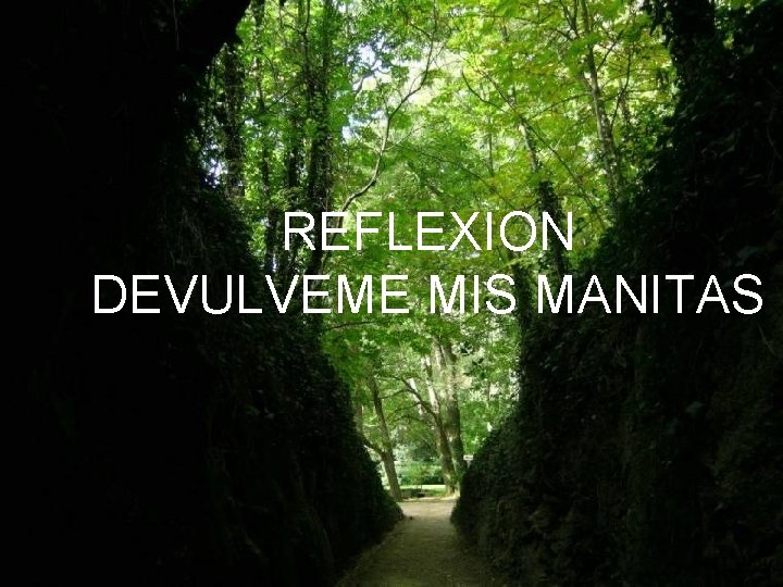 REFLEXION REFLEXIÓN DEVULVEME MIS MANITAS DEVUELVEME MIS MANITAS 