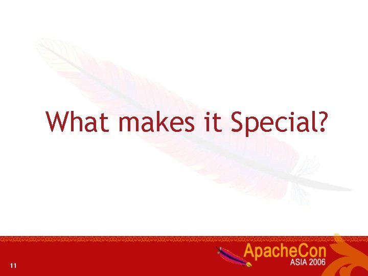 What makes it Special? 11 