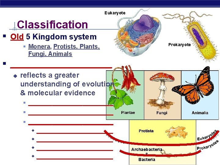 Eukaryote Classification § Old 5 Kingdom system Prokaryote § Monera, Protists, Plants, Fungi, Animals