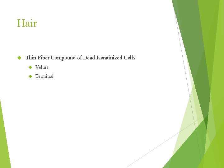 Hair Thin Fiber Compound of Dead Keratinized Cells Vellus Terminal 
