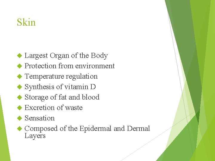 Skin Largest Organ of the Body Protection from environment Temperature regulation Synthesis of vitamin