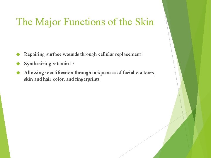 The Major Functions of the Skin Repairing surface wounds through cellular replacement Synthesizing vitamin