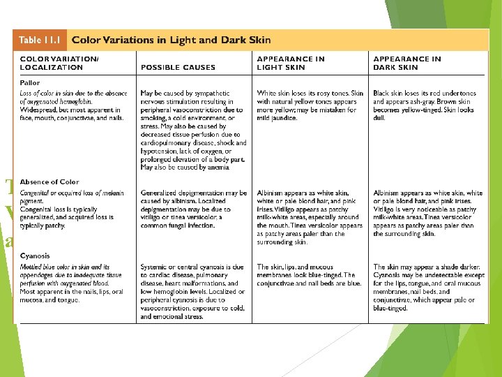 Table 11. 1 Color Variations in Light and Dark Skin 