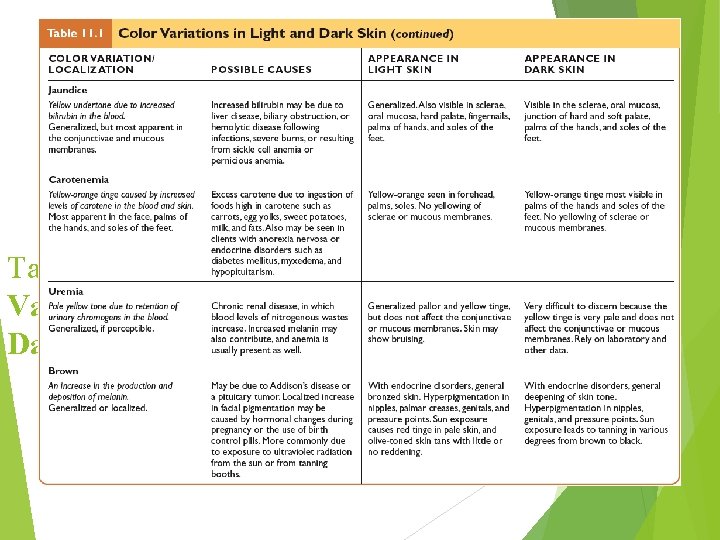 Table 11. 1 Color Variations in Light and Dark Skin (continued) 