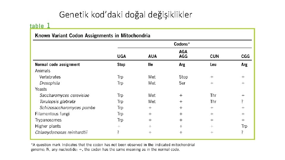 Genetik kod’daki doğal değişiklikler 