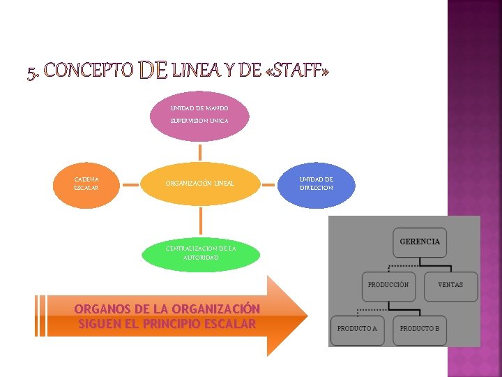 UNIDAD DE MANDO SUPERVISION UNICA CADENA ESCALAR ORGANIZACIÓN LINEAL CENTRALIZACION DE LA AUTORIDAD ORGANOS