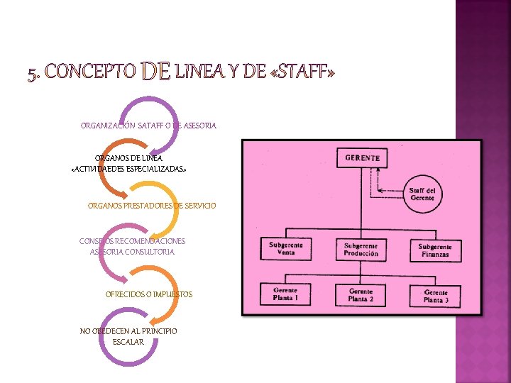 ORGANIZACIÓN SATAFF O DE ASESORIA ORGANOS DE LINEA «ACTIVIDAEDES ESPECIALIZADAS» ORGANOS PRESTADORES DE SERVICIO