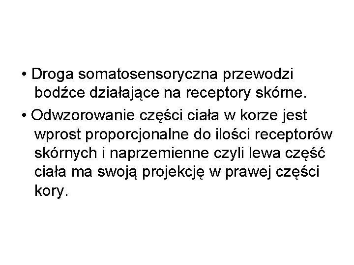  • Droga somatosensoryczna przewodzi bodźce działające na receptory skórne. • Odwzorowanie części ciała