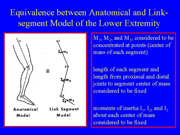 Equivalence between Anatomical and Linksegment Model of the Lower Extremity M 1, M 2,