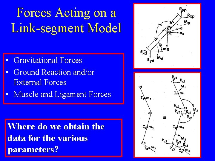 Forces Acting on a Link-segment Model • Gravitational Forces • Ground Reaction and/or External