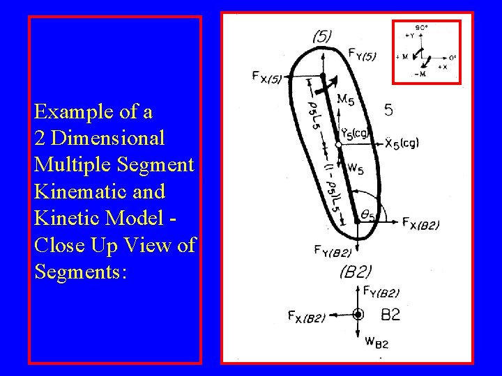 Example of a 2 Dimensional Multiple Segment Kinematic and Kinetic Model Close Up View