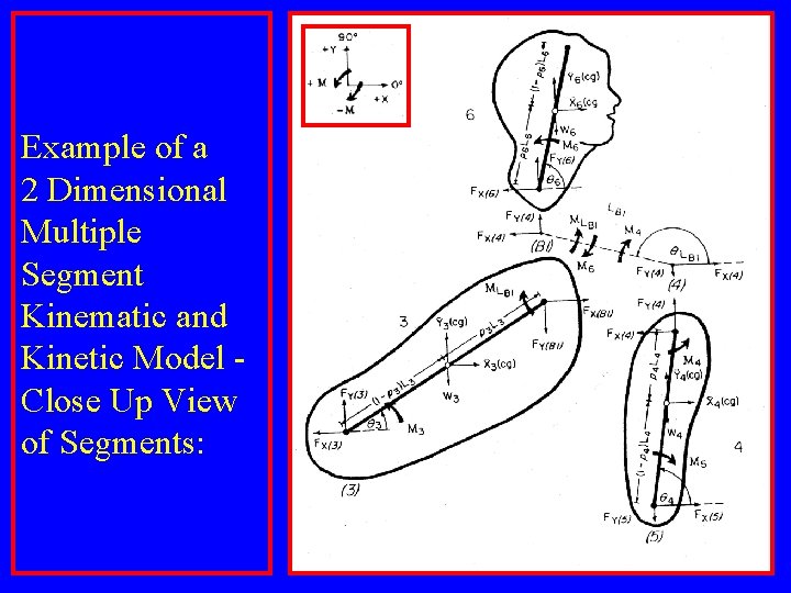 Example of a 2 Dimensional Multiple Segment Kinematic and Kinetic Model Close Up View