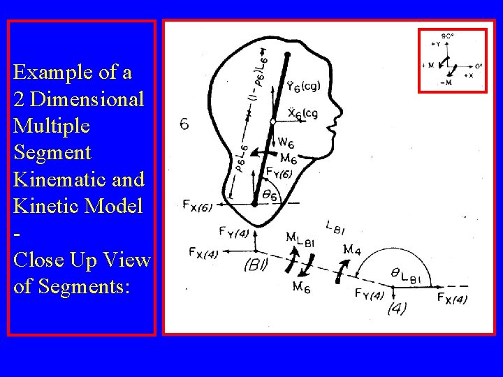 Example of a 2 Dimensional Multiple Segment Kinematic and Kinetic Model Close Up View