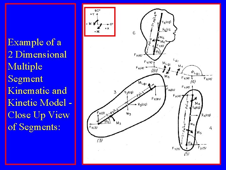 Example of a 2 Dimensional Multiple Segment Kinematic and Kinetic Model Close Up View