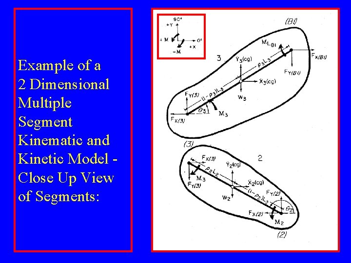 Example of a 2 Dimensional Multiple Segment Kinematic and Kinetic Model Close Up View