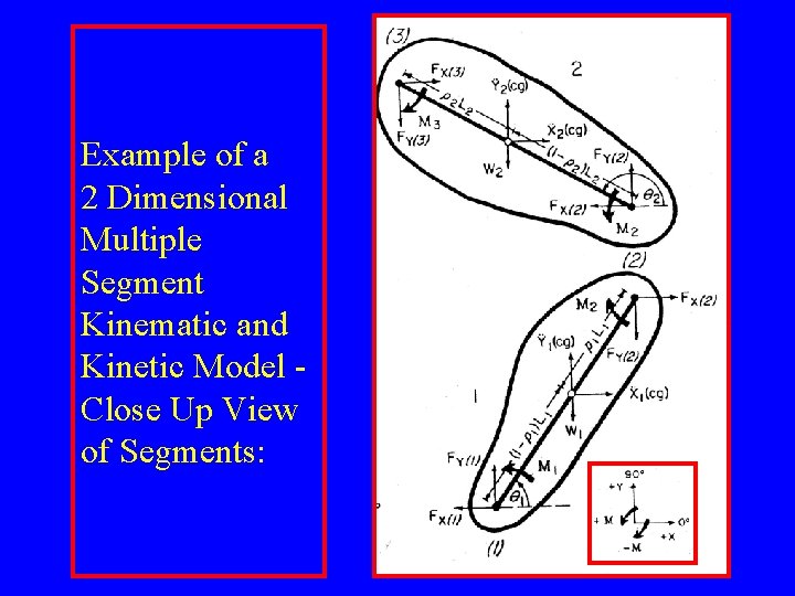 Example of a 2 Dimensional Multiple Segment Kinematic and Kinetic Model Close Up View