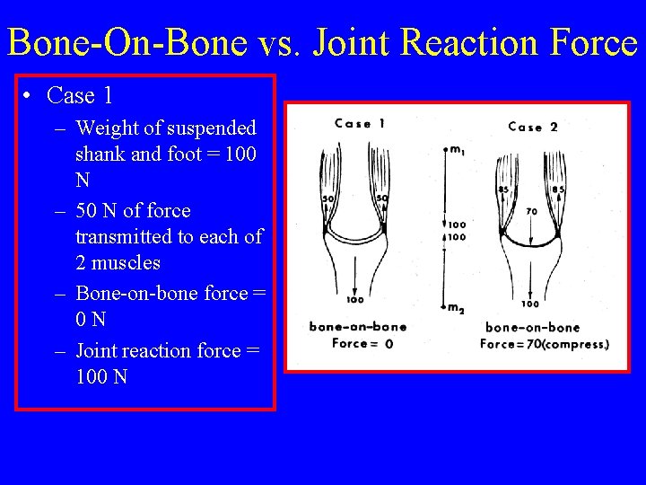 Bone-On-Bone vs. Joint Reaction Force • Case 1 – Weight of suspended shank and