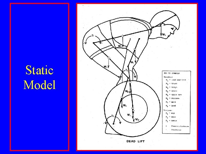 Static Model 