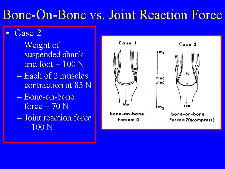 Bone-On-Bone vs. Joint Reaction Force • Case 2 – Weight of suspended shank and