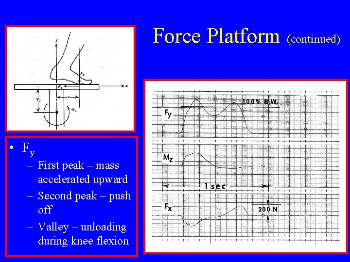 Force Platform (continued) • Fy – First peak – mass accelerated upward – Second